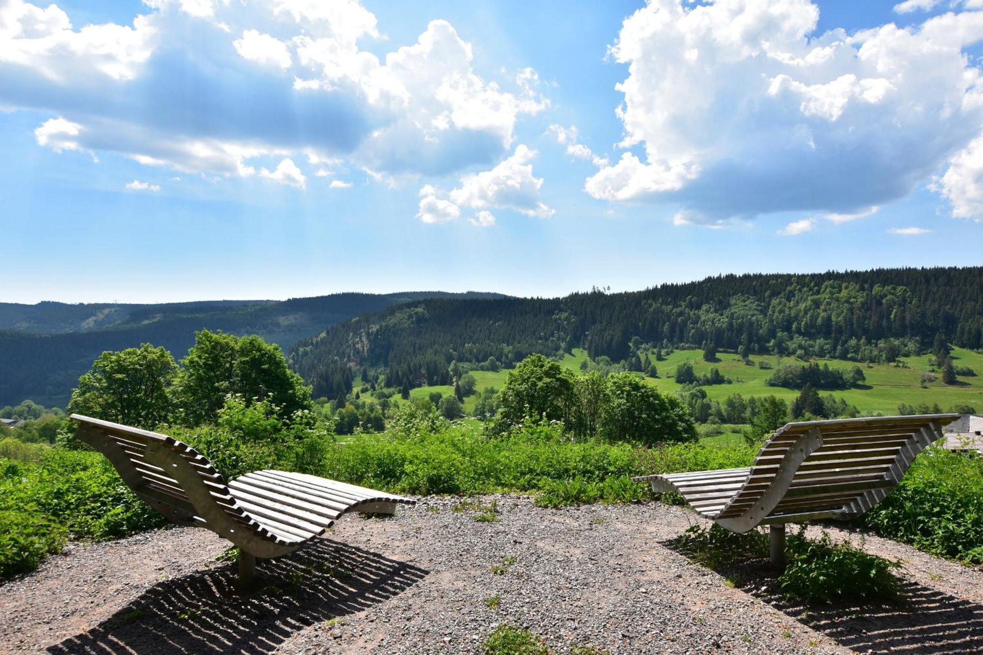 Schwarzwaldhaus Krebs - Villa Kunterbunt, Lenzkirch, Feldberg Exteriér fotografie